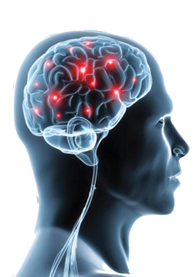 Best urology hospitals in Vijayawada,best urology doctors in Vijayawada,Best urology specialists in Vijayawada,best urology treatment hospitals in Vijayawada,Best paediatric urologists in Vijayawada,Best kidney Stone treatment in Vijayawada,Best prostate Gland treatment in Vijayawada,Best Laparoscopic Surgery in Vijayawada,Best Bladder Stone treatment in Vijayawada,Best Ureters Treatment in Vijayawada,Best Retrograde ureteral in Vijayawada,Best kidney transplantation in Vijayawada,Best prostatic hyperplasia Treatment in Vijayawada,Best Urologist in Vijayawada,Best Urinary Incontinence Treatment in Vijayawada,Best Gastroenterologists in Vijayawada,Best Gastroenterology hospitals in Vijayawada,Best Gastroenterology hospital in Vijayawada,Best gastroenterology treatment in Vijayawada,Best Gastroenteritis Treatment in Vijayawada,Best Hepatitis B Treatment in Vijayawada,Best Hernia Treatment in Vijayawada,Best Gallstones Treatment in Vijayawada,best neurosurgeon in Vijayawada,Best Brain tumor hospitals in Vijayawada,Best Stroke treatment in Vijayawada,Best Paralysis Treatment in Vijayawada,Best Rehabilitation Center in Vijayawada,Best Paediatric neurosurgery in Vijayawada,Best Neurovascular surgery in Vijayawada,Best Spine surgery in Vijayawada,Best Arthritis treatment in Vijayawada,Best Tumor removal in Vijayawada,Best Brain tumor treatment in Vijayawada,Best Neuro Surgery hospital in Vijayawada,Best neurology hospitals in Vijayawada,Best neurology doctors in Vijayawada,Best Neurologists in Vijayawada,best neurologist doctor in Vijayawada,Best Fits treatment in Vijayawada,Best Stroke Center in Vijayawada,Best Paralysis treatment in Vijayawada,Best Coma treatment center in Vijayawada,Best Migraine Hospital in Vijayawada,Best Spinal Card Injury Treatment in Vijayawada,best laparoscopic surgeon in Vijayawada,Best gall bladder stone removal surgery cost in Vijayawada,best general surgeon in Vijayawada,best gallbladder laparoscopic surgeon in Vijayawada,Best Advanced Laparoscopic and General Surgery in Vijayawada,Best Laparoscopic General Surgery in Vijayawada,best surgeon in Vijayawada,Top Laparoscopic surgeon Vijayawada,Best laparoscopic surgery hospitals in Vijayawada,Best Appendix Treatment in Vijayawada,Best Laparoscopic surgery in Vijayawada,Best Gallbladder microscope surgeons in Vijayawada,Advanced laparoscopic and general surgery hospitals in Vijayawada,Best General Surgery Hospitals in Vijayawada,best General Medicine Doctors in Vijayawada,Best General Physician Doctors in Vijayawada,Best General physicians in Vijayawada,Best General Medicine for Hypertension,Best Diabetologist in Vijayawada,Best Diabetics Hospital in Vijayawada,Best fever Hospital in Vijayawada,Best infections treatment in Vijayawada,Best Hypertension treatment in Vijayawada,Best thyroid treatment in Vijayawada,Best Hospitals for Pulmonology in Vijayawada,Best Pulmonologists in Vijayawada,Top Pulmonologists Doctors in Vijayawada,Best Pulmonology hospitals in Vijayawada,Best Asthma treatment in Vijayawada,Best Lung cancer treatment in Vijayawada,Best breathe easy treatment in Vijayawada,Best Asthma Specialist in Vijayawada,Best gynaecology hospitals in Vijayawada,Best gynaecology specialists in Vijayawada,best gynaecology hospitals in Vijayawada,Best obstetrics and gynaecology hospitals in Vijayawada,Best obstetrics and gynaecology doctors in Vijayawada,Best Uterine Bleeding treatments in Vijayawada,Best Painless Delivery Hospital in Vijayawada,Best High risk Pregnancy hospital in Vijayawada,best Orthopaedician in Vijayawada,best orthopaedic doctor in Vijayawada,Total Knee Replacement in Vijayawada,Best Knee Replacement surgery in Vijayawada,best Knee Replacement surgeon in Vijayawada,Hip Replacement in Vijayawada,Best joint replacement in Vijayawada,best Hip Replacement surgeon in Vijayawada,Best Fracture treatment in Vijayawada,Best injury treatments in Vijayawada,Best Arthritis treatment in Vijayawada,Best paediatrics specialists in Guntur,Best paediatrics physicians in Guntur,Best children’s paediatrics in Guntur,Best paediatrics and child health care hospitals in Guntur,Best general paediatrician in Guntur,best children’s hospitals in Guntur,Best Chest Specialists in Vijayawada,Best Chest physicians in Vijayawada,Best Chest Physician Hospitals in Vijayawada,Best pulmonologist doctors in Vijayawada,best lungs specialist in Vijayawada,Best lungs hospital in Vijayawada,Best asthma specialist in Vijayawada,Best ENT clinics in Vijayawada,best ent specialists in Vijayawada,best ENT doctors in Vijayawada,best ENT hospitals in Vijayawada,MICRO EAR SURGERIES in Vijayawada,Best SINUSITIS Treatments in Vijayawada,Best TONSILLITIS Treatments in Vijayawada,Best Hearing Loss Treatment in Vijayawada,Best Sore Throat Treatment in Vijayawada,Best Anaesthesiology Doctors in Vijayawada,Best Anaesthesiology Services for Surgery in Vijayawada,Best Anaesthesiology Critical Care in Vijayawada,Best Pain Management Doctors in Vijayawada,Best intensive care specialist in Vijayawada,best Accident & Emergency Hospitals in Vijayawada,Best Emergency Services Providers in Vijayawada,Best Emergency care in Vijayawada,Best Accident Injuries Treatment in Vijayawada,Best Skin Specialists in Vijayawada,Best Skin Care Clinics in Vijayawada,Best Dermatologist Doctors in Vijayawada,Best Radiologists in Vijayawada,Best Radiology Clinics in Vijayawada,Best radiology doctors in Vijayawada,Best female radiologist in Vijayawada,Best Dental Hospitals in Vijayawada,Best Dental Doctors in Vijayawada,Best Clip Treatment in Vijayawada,Best Orthodontist in Vijayawada,Best braces treatment in Vijayawada,Best Root Canal Treatment in Vijayawada,Best Dental Implant Center in Vijayawada,Best Dentist in Vijayawada,Best Gum diseases treatment in Vijayawada