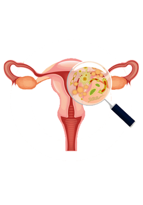 Best urology hospitals in Vijayawada,best urology doctors in Vijayawada,Best urology specialists in Vijayawada,best urology treatment hospitals in Vijayawada,Best paediatric urologists in Vijayawada,Best kidney Stone treatment in Vijayawada,Best prostate Gland treatment in Vijayawada,Best Laparoscopic Surgery in Vijayawada,Best Bladder Stone treatment in Vijayawada,Best Ureters Treatment in Vijayawada,Best Retrograde ureteral in Vijayawada,Best kidney transplantation in Vijayawada,Best prostatic hyperplasia Treatment in Vijayawada,Best Urologist in Vijayawada,Best Urinary Incontinence Treatment in Vijayawada,Best Gastroenterologists in Vijayawada,Best Gastroenterology hospitals in Vijayawada,Best Gastroenterology hospital in Vijayawada,Best gastroenterology treatment in Vijayawada,Best Gastroenteritis Treatment in Vijayawada,Best Hepatitis B Treatment in Vijayawada,Best Hernia Treatment in Vijayawada,Best Gallstones Treatment in Vijayawada,best neurosurgeon in Vijayawada,Best Brain tumor hospitals in Vijayawada,Best Stroke treatment in Vijayawada,Best Paralysis Treatment in Vijayawada,Best Rehabilitation Center in Vijayawada,Best Paediatric neurosurgery in Vijayawada,Best Neurovascular surgery in Vijayawada,Best Spine surgery in Vijayawada,Best Arthritis treatment in Vijayawada,Best Tumor removal in Vijayawada,Best Brain tumor treatment in Vijayawada,Best Neuro Surgery hospital in Vijayawada,Best neurology hospitals in Vijayawada,Best neurology doctors in Vijayawada,Best Neurologists in Vijayawada,best neurologist doctor in Vijayawada,Best Fits treatment in Vijayawada,Best Stroke Center in Vijayawada,Best Paralysis treatment in Vijayawada,Best Coma treatment center in Vijayawada,Best Migraine Hospital in Vijayawada,Best Spinal Card Injury Treatment in Vijayawada,best laparoscopic surgeon in Vijayawada,Best gall bladder stone removal surgery cost in Vijayawada,best general surgeon in Vijayawada,best gallbladder laparoscopic surgeon in Vijayawada,Best Advanced Laparoscopic and General Surgery in Vijayawada,Best Laparoscopic General Surgery in Vijayawada,best surgeon in Vijayawada,Top Laparoscopic surgeon Vijayawada,Best laparoscopic surgery hospitals in Vijayawada,Best Appendix Treatment in Vijayawada,Best Laparoscopic surgery in Vijayawada,Best Gallbladder microscope surgeons in Vijayawada,Advanced laparoscopic and general surgery hospitals in Vijayawada,Best General Surgery Hospitals in Vijayawada,best General Medicine Doctors in Vijayawada,Best General Physician Doctors in Vijayawada,Best General physicians in Vijayawada,Best General Medicine for Hypertension,Best Diabetologist in Vijayawada,Best Diabetics Hospital in Vijayawada,Best fever Hospital in Vijayawada,Best infections treatment in Vijayawada,Best Hypertension treatment in Vijayawada,Best thyroid treatment in Vijayawada,Best Hospitals for Pulmonology in Vijayawada,Best Pulmonologists in Vijayawada,Top Pulmonologists Doctors in Vijayawada,Best Pulmonology hospitals in Vijayawada,Best Asthma treatment in Vijayawada,Best Lung cancer treatment in Vijayawada,Best breathe easy treatment in Vijayawada,Best Asthma Specialist in Vijayawada,Best gynaecology hospitals in Vijayawada,Best gynaecology specialists in Vijayawada,best gynaecology hospitals in Vijayawada,Best obstetrics and gynaecology hospitals in Vijayawada,Best obstetrics and gynaecology doctors in Vijayawada,Best Uterine Bleeding treatments in Vijayawada,Best Painless Delivery Hospital in Vijayawada,Best High risk Pregnancy hospital in Vijayawada,best Orthopaedician in Vijayawada,best orthopaedic doctor in Vijayawada,Total Knee Replacement in Vijayawada,Best Knee Replacement surgery in Vijayawada,best Knee Replacement surgeon in Vijayawada,Hip Replacement in Vijayawada,Best joint replacement in Vijayawada,best Hip Replacement surgeon in Vijayawada,Best Fracture treatment in Vijayawada,Best injury treatments in Vijayawada,Best Arthritis treatment in Vijayawada,Best paediatrics specialists in Guntur,Best paediatrics physicians in Guntur,Best children’s paediatrics in Guntur,Best paediatrics and child health care hospitals in Guntur,Best general paediatrician in Guntur,best children’s hospitals in Guntur,Best Chest Specialists in Vijayawada,Best Chest physicians in Vijayawada,Best Chest Physician Hospitals in Vijayawada,Best pulmonologist doctors in Vijayawada,best lungs specialist in Vijayawada,Best lungs hospital in Vijayawada,Best asthma specialist in Vijayawada,Best ENT clinics in Vijayawada,best ent specialists in Vijayawada,best ENT doctors in Vijayawada,best ENT hospitals in Vijayawada,MICRO EAR SURGERIES in Vijayawada,Best SINUSITIS Treatments in Vijayawada,Best TONSILLITIS Treatments in Vijayawada,Best Hearing Loss Treatment in Vijayawada,Best Sore Throat Treatment in Vijayawada,Best Anaesthesiology Doctors in Vijayawada,Best Anaesthesiology Services for Surgery in Vijayawada,Best Anaesthesiology Critical Care in Vijayawada,Best Pain Management Doctors in Vijayawada,Best intensive care specialist in Vijayawada,best Accident & Emergency Hospitals in Vijayawada,Best Emergency Services Providers in Vijayawada,Best Emergency care in Vijayawada,Best Accident Injuries Treatment in Vijayawada,Best Skin Specialists in Vijayawada,Best Skin Care Clinics in Vijayawada,Best Dermatologist Doctors in Vijayawada,Best Radiologists in Vijayawada,Best Radiology Clinics in Vijayawada,Best radiology doctors in Vijayawada,Best female radiologist in Vijayawada,Best Dental Hospitals in Vijayawada,Best Dental Doctors in Vijayawada,Best Clip Treatment in Vijayawada,Best Orthodontist in Vijayawada,Best braces treatment in Vijayawada,Best Root Canal Treatment in Vijayawada,Best Dental Implant Center in Vijayawada,Best Dentist in Vijayawada,Best Gum diseases treatment in Vijayawada