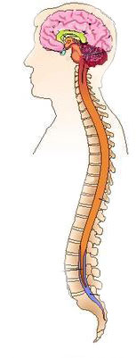 Best urology hospitals in Vijayawada,best urology doctors in Vijayawada,Best urology specialists in Vijayawada,best urology treatment hospitals in Vijayawada,Best paediatric urologists in Vijayawada,Best kidney Stone treatment in Vijayawada,Best prostate Gland treatment in Vijayawada,Best Laparoscopic Surgery in Vijayawada,Best Bladder Stone treatment in Vijayawada,Best Ureters Treatment in Vijayawada,Best Retrograde ureteral in Vijayawada,Best kidney transplantation in Vijayawada,Best prostatic hyperplasia Treatment in Vijayawada,Best Urologist in Vijayawada,Best Urinary Incontinence Treatment in Vijayawada,Best Gastroenterologists in Vijayawada,Best Gastroenterology hospitals in Vijayawada,Best Gastroenterology hospital in Vijayawada,Best gastroenterology treatment in Vijayawada,Best Gastroenteritis Treatment in Vijayawada,Best Hepatitis B Treatment in Vijayawada,Best Hernia Treatment in Vijayawada,Best Gallstones Treatment in Vijayawada,best neurosurgeon in Vijayawada,Best Brain tumor hospitals in Vijayawada,Best Stroke treatment in Vijayawada,Best Paralysis Treatment in Vijayawada,Best Rehabilitation Center in Vijayawada,Best Paediatric neurosurgery in Vijayawada,Best Neurovascular surgery in Vijayawada,Best Spine surgery in Vijayawada,Best Arthritis treatment in Vijayawada,Best Tumor removal in Vijayawada,Best Brain tumor treatment in Vijayawada,Best Neuro Surgery hospital in Vijayawada,Best neurology hospitals in Vijayawada,Best neurology doctors in Vijayawada,Best Neurologists in Vijayawada,best neurologist doctor in Vijayawada,Best Fits treatment in Vijayawada,Best Stroke Center in Vijayawada,Best Paralysis treatment in Vijayawada,Best Coma treatment center in Vijayawada,Best Migraine Hospital in Vijayawada,Best Spinal Card Injury Treatment in Vijayawada,best laparoscopic surgeon in Vijayawada,Best gall bladder stone removal surgery cost in Vijayawada,best general surgeon in Vijayawada,best gallbladder laparoscopic surgeon in Vijayawada,Best Advanced Laparoscopic and General Surgery in Vijayawada,Best Laparoscopic General Surgery in Vijayawada,best surgeon in Vijayawada,Top Laparoscopic surgeon Vijayawada,Best laparoscopic surgery hospitals in Vijayawada,Best Appendix Treatment in Vijayawada,Best Laparoscopic surgery in Vijayawada,Best Gallbladder microscope surgeons in Vijayawada,Advanced laparoscopic and general surgery hospitals in Vijayawada,Best General Surgery Hospitals in Vijayawada,best General Medicine Doctors in Vijayawada,Best General Physician Doctors in Vijayawada,Best General physicians in Vijayawada,Best General Medicine for Hypertension,Best Diabetologist in Vijayawada,Best Diabetics Hospital in Vijayawada,Best fever Hospital in Vijayawada,Best infections treatment in Vijayawada,Best Hypertension treatment in Vijayawada,Best thyroid treatment in Vijayawada,Best Hospitals for Pulmonology in Vijayawada,Best Pulmonologists in Vijayawada,Top Pulmonologists Doctors in Vijayawada,Best Pulmonology hospitals in Vijayawada,Best Asthma treatment in Vijayawada,Best Lung cancer treatment in Vijayawada,Best breathe easy treatment in Vijayawada,Best Asthma Specialist in Vijayawada,Best gynaecology hospitals in Vijayawada,Best gynaecology specialists in Vijayawada,best gynaecology hospitals in Vijayawada,Best obstetrics and gynaecology hospitals in Vijayawada,Best obstetrics and gynaecology doctors in Vijayawada,Best Uterine Bleeding treatments in Vijayawada,Best Painless Delivery Hospital in Vijayawada,Best High risk Pregnancy hospital in Vijayawada,best Orthopaedician in Vijayawada,best orthopaedic doctor in Vijayawada,Total Knee Replacement in Vijayawada,Best Knee Replacement surgery in Vijayawada,best Knee Replacement surgeon in Vijayawada,Hip Replacement in Vijayawada,Best joint replacement in Vijayawada,best Hip Replacement surgeon in Vijayawada,Best Fracture treatment in Vijayawada,Best injury treatments in Vijayawada,Best Arthritis treatment in Vijayawada,Best paediatrics specialists in Guntur,Best paediatrics physicians in Guntur,Best children’s paediatrics in Guntur,Best paediatrics and child health care hospitals in Guntur,Best general paediatrician in Guntur,best children’s hospitals in Guntur,Best Chest Specialists in Vijayawada,Best Chest physicians in Vijayawada,Best Chest Physician Hospitals in Vijayawada,Best pulmonologist doctors in Vijayawada,best lungs specialist in Vijayawada,Best lungs hospital in Vijayawada,Best asthma specialist in Vijayawada,Best ENT clinics in Vijayawada,best ent specialists in Vijayawada,best ENT doctors in Vijayawada,best ENT hospitals in Vijayawada,MICRO EAR SURGERIES in Vijayawada,Best SINUSITIS Treatments in Vijayawada,Best TONSILLITIS Treatments in Vijayawada,Best Hearing Loss Treatment in Vijayawada,Best Sore Throat Treatment in Vijayawada,Best Anaesthesiology Doctors in Vijayawada,Best Anaesthesiology Services for Surgery in Vijayawada,Best Anaesthesiology Critical Care in Vijayawada,Best Pain Management Doctors in Vijayawada,Best intensive care specialist in Vijayawada,best Accident & Emergency Hospitals in Vijayawada,Best Emergency Services Providers in Vijayawada,Best Emergency care in Vijayawada,Best Accident Injuries Treatment in Vijayawada,Best Skin Specialists in Vijayawada,Best Skin Care Clinics in Vijayawada,Best Dermatologist Doctors in Vijayawada,Best Radiologists in Vijayawada,Best Radiology Clinics in Vijayawada,Best radiology doctors in Vijayawada,Best female radiologist in Vijayawada,Best Dental Hospitals in Vijayawada,Best Dental Doctors in Vijayawada,Best Clip Treatment in Vijayawada,Best Orthodontist in Vijayawada,Best braces treatment in Vijayawada,Best Root Canal Treatment in Vijayawada,Best Dental Implant Center in Vijayawada,Best Dentist in Vijayawada,Best Gum diseases treatment in Vijayawada